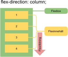 Flexdirectioncolumn.png