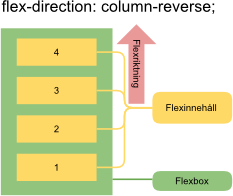 Fil:Flexdirectioncolumnreverse.png
